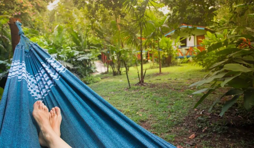 Best Hammocks for Every Budget and Occasion