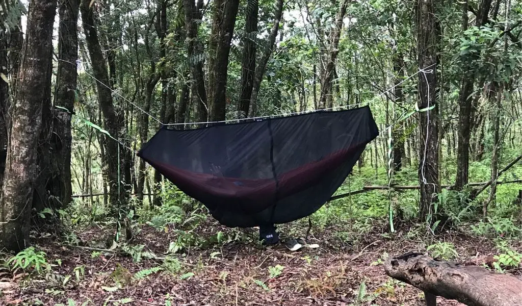 best-hammock-bug-net