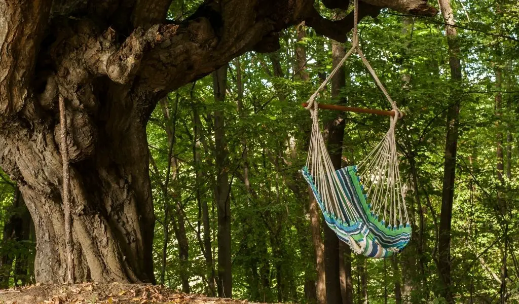 7 Ways to Hang a Hammock Chair [Indoors and Out]