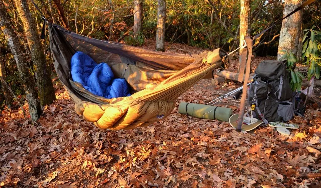 16 Ultimate Hammock Camping Tips From a Decade of Experience